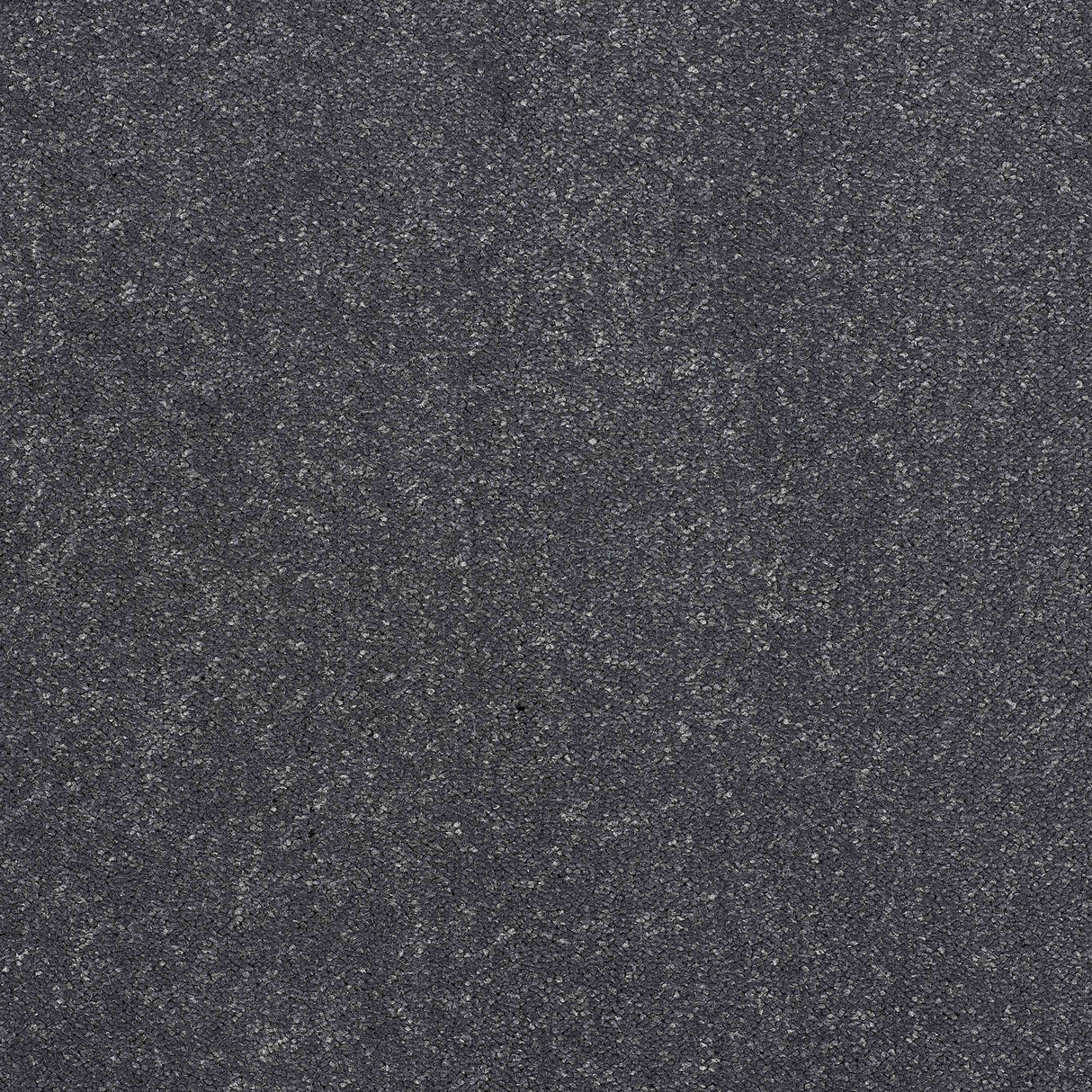 Pure Elegance Carpet