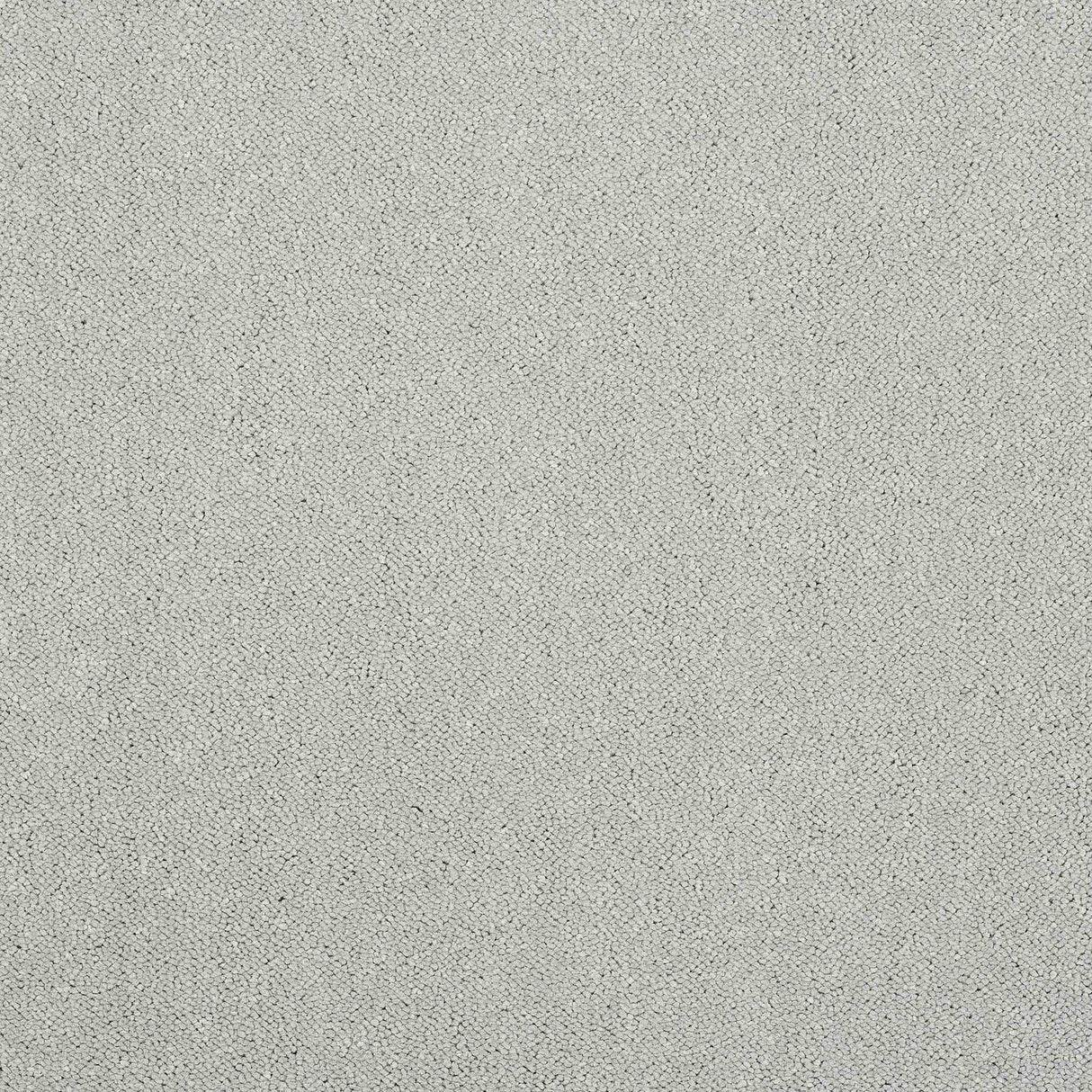 Pure Elegance Carpet