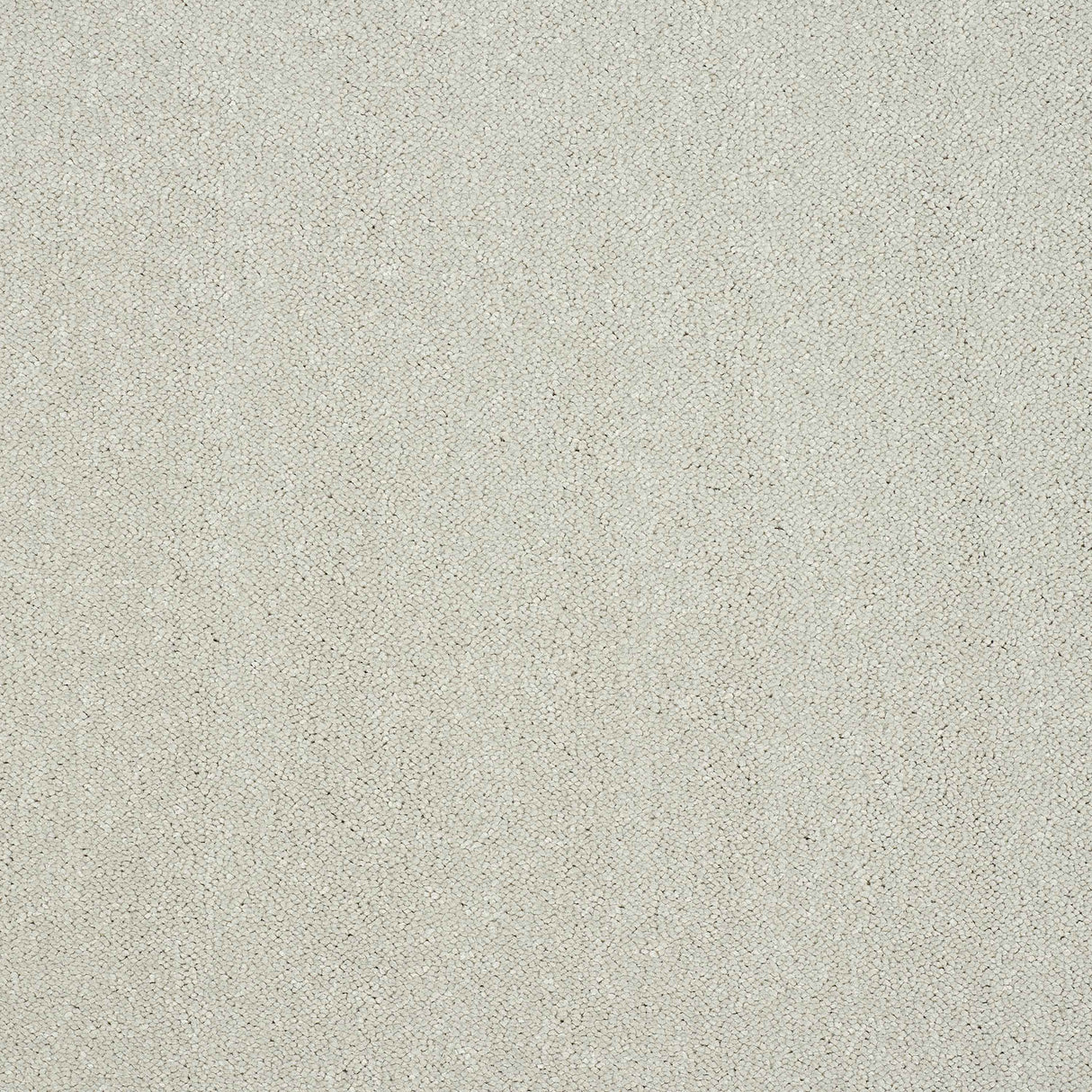 Pure Elegance Carpet