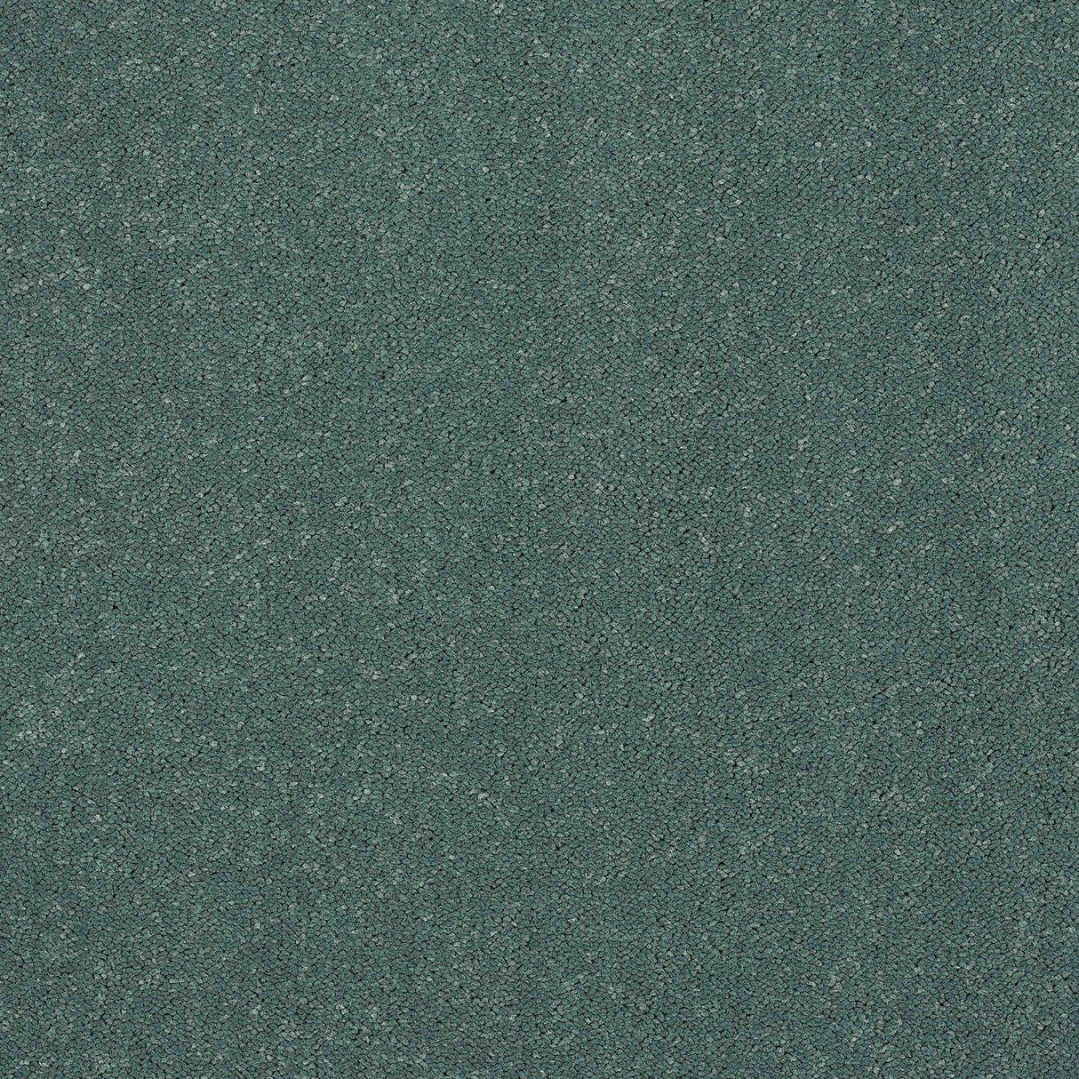 Pure Elegance Carpet