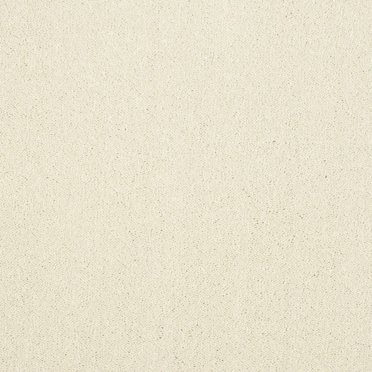 Pure Elegance Carpet