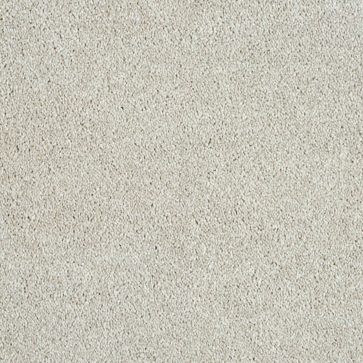 Hidden Depths Carpet