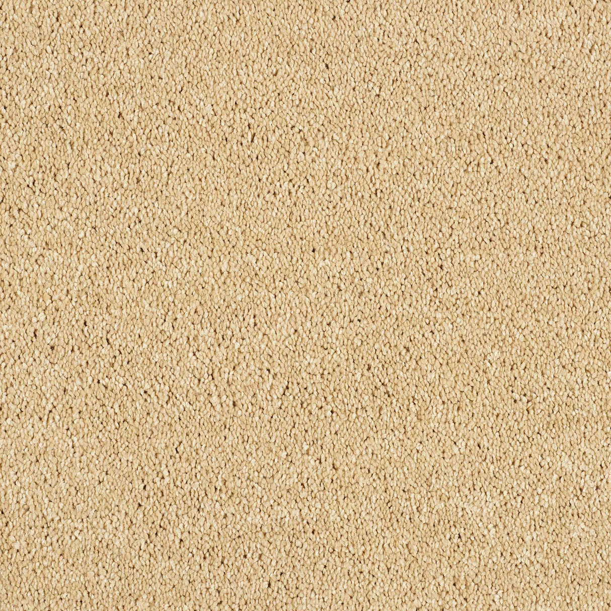 Hidden Depths Carpet