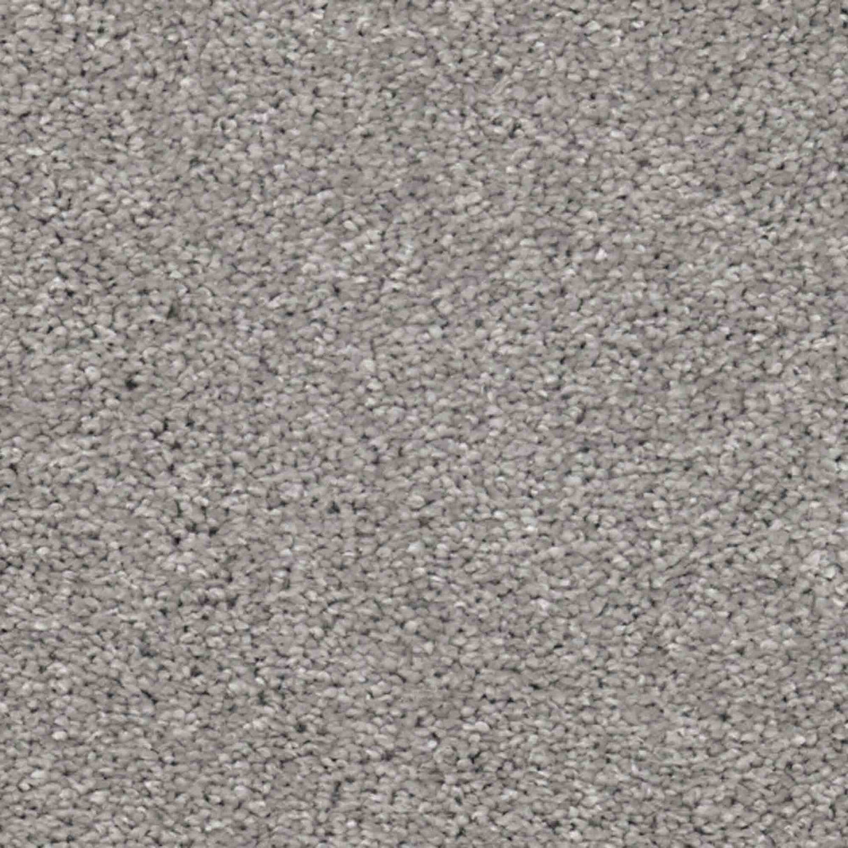 Aria Carpet