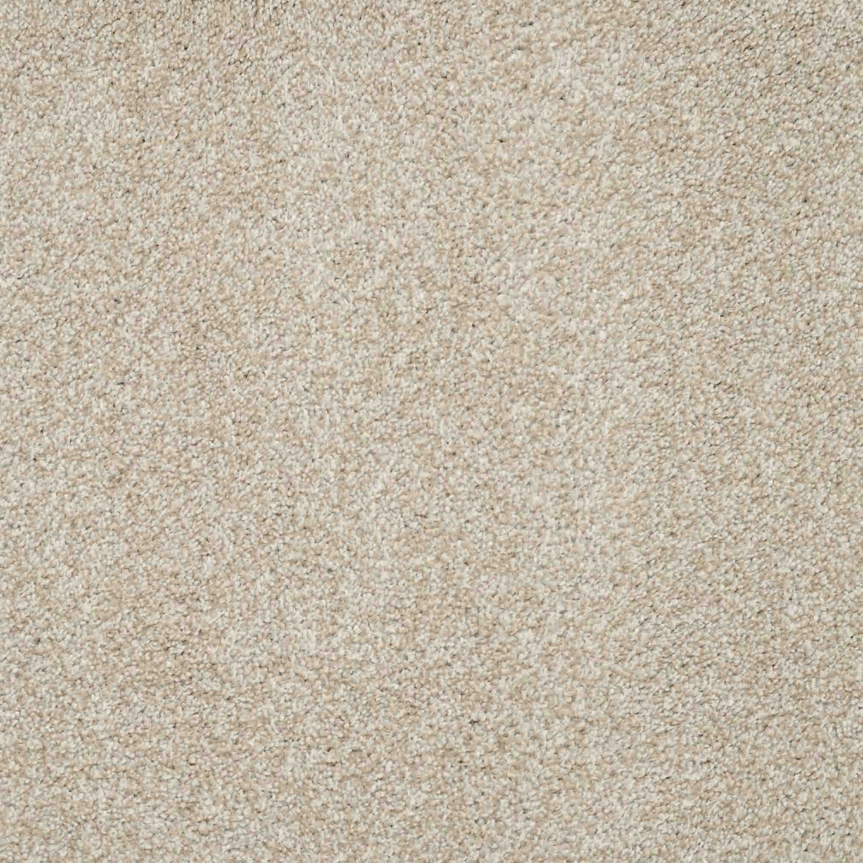 Charme Carpet