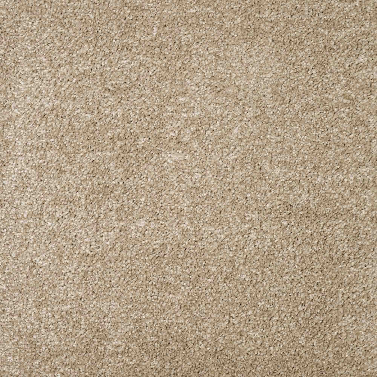 Charme Carpet