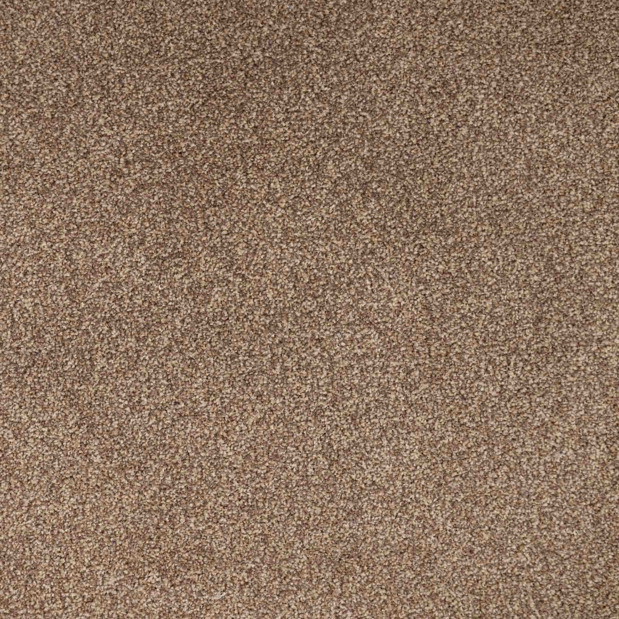 Chiltern Heathers Carpet