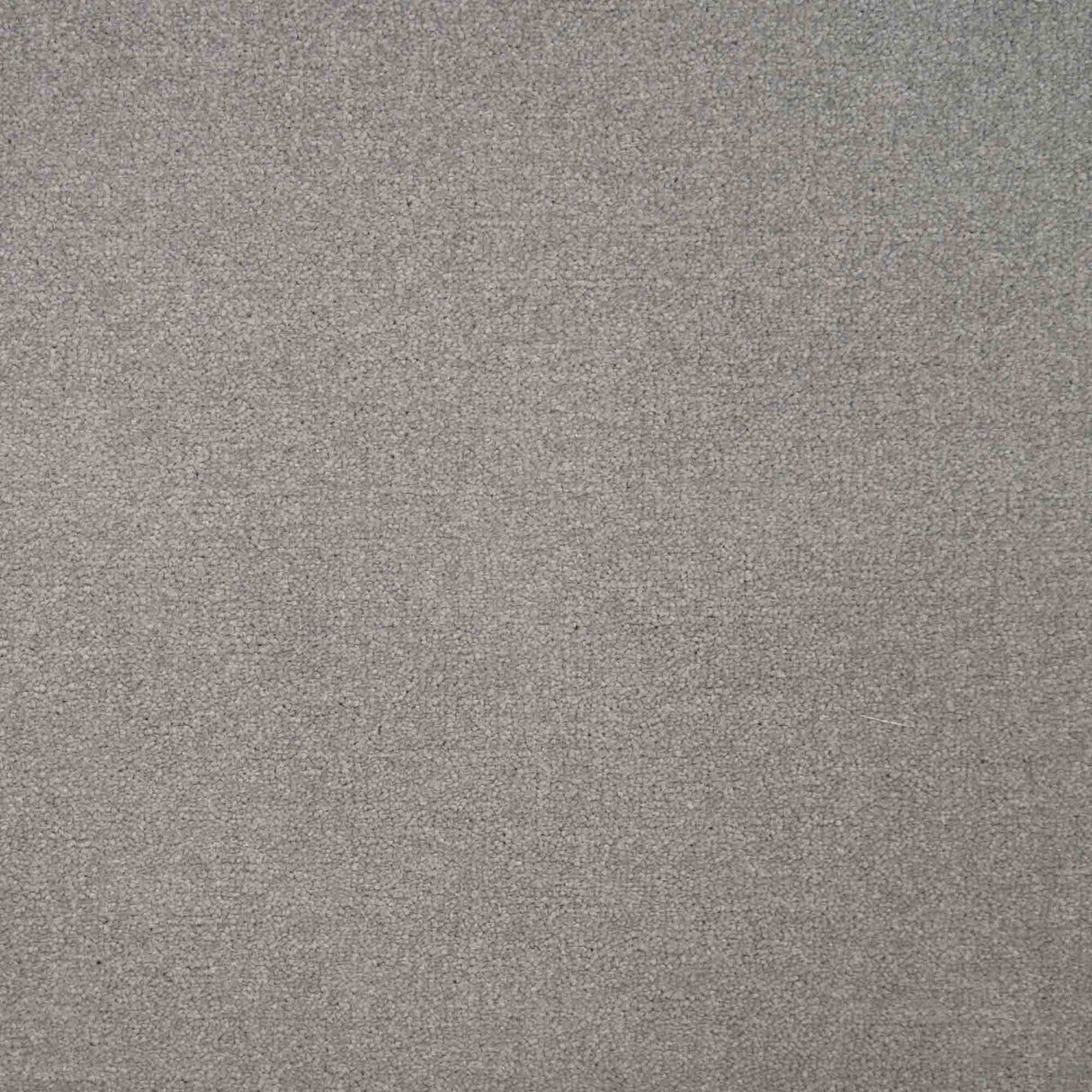 Chiltern Heathers Carpet