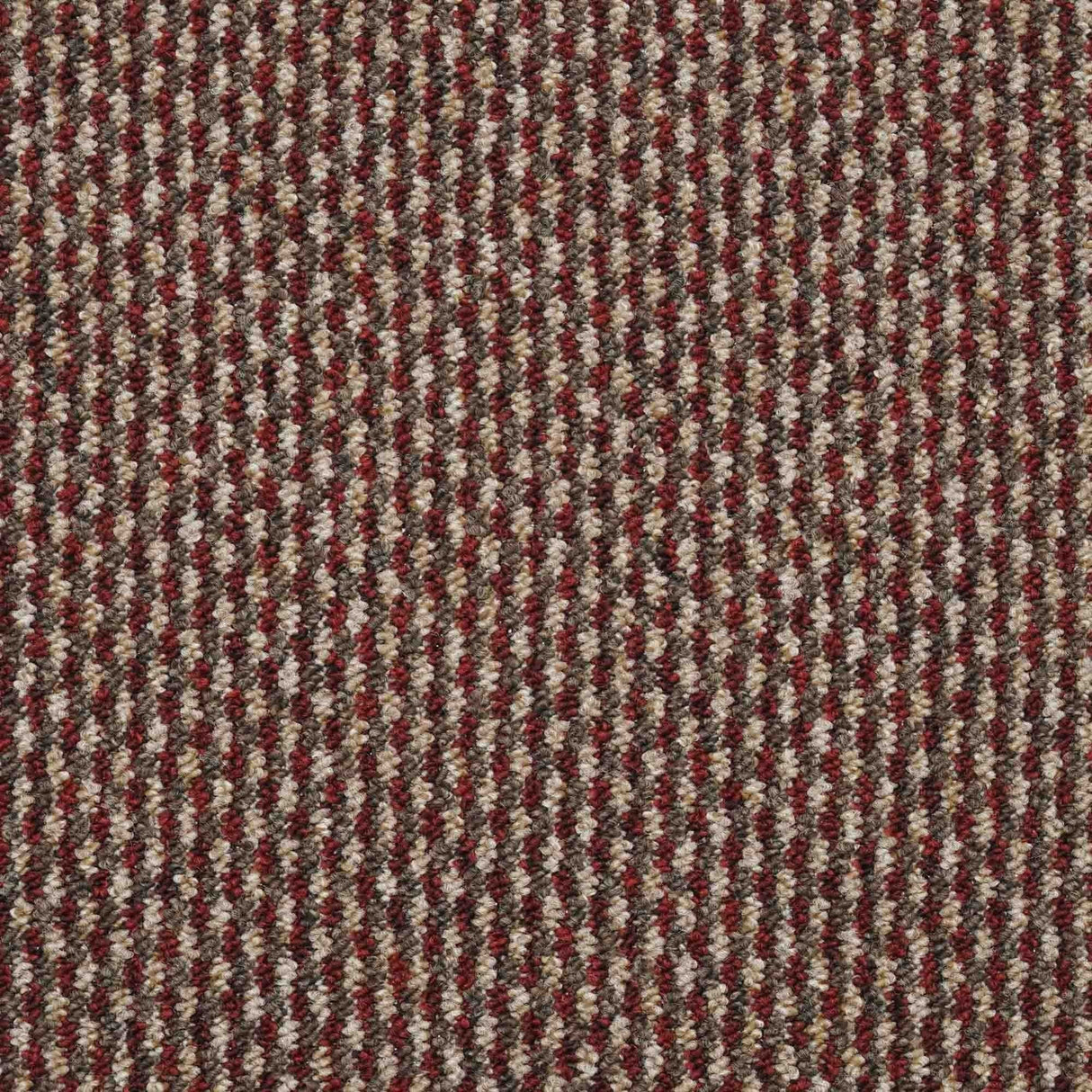 Dakar Carpet