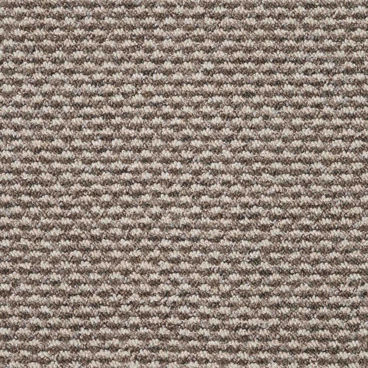 Dakar Carpet