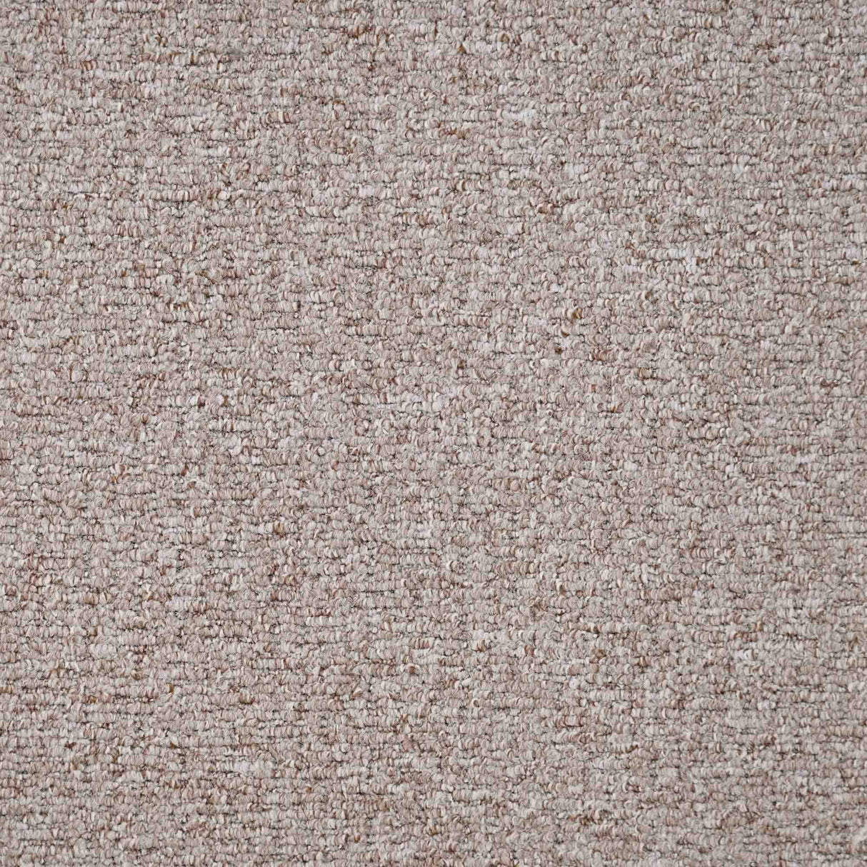Sahara Carpet