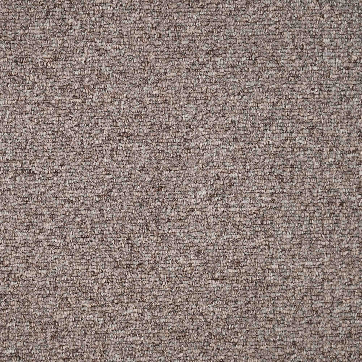Sahara Carpet