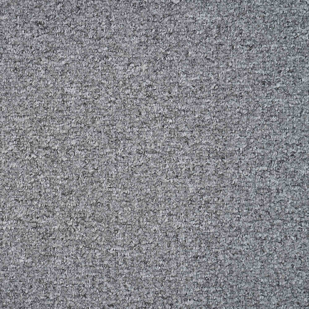 Sahara Carpet