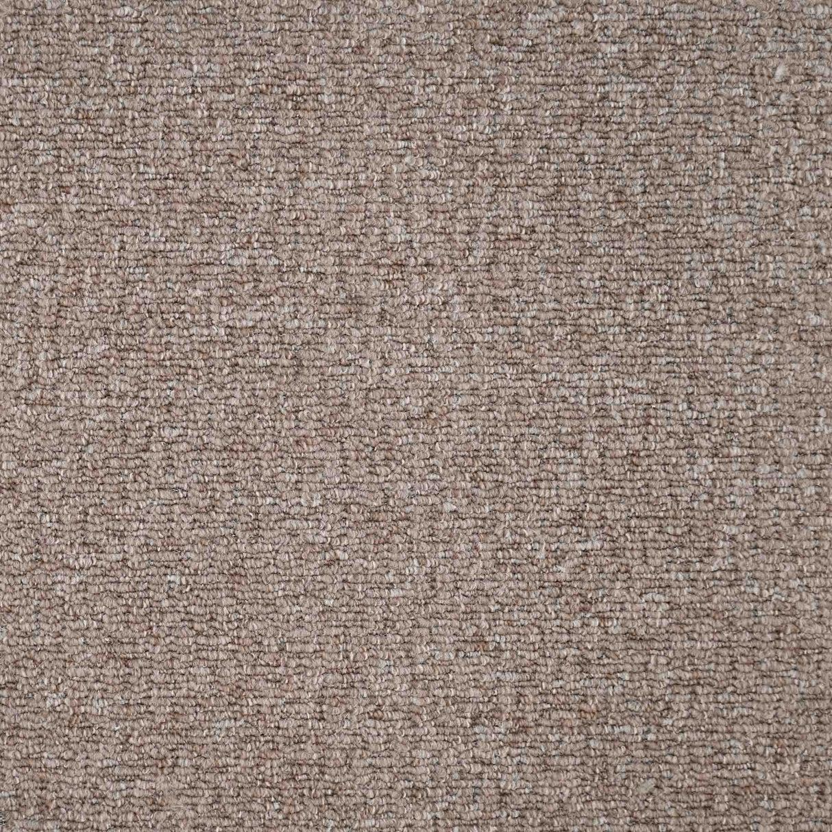 Sahara Carpet
