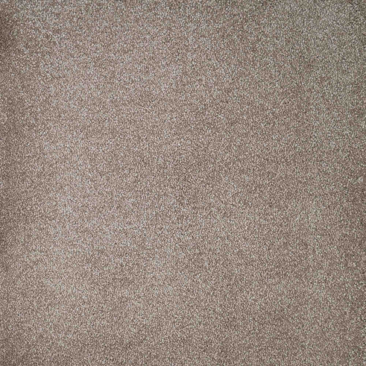 Spirito Carpet