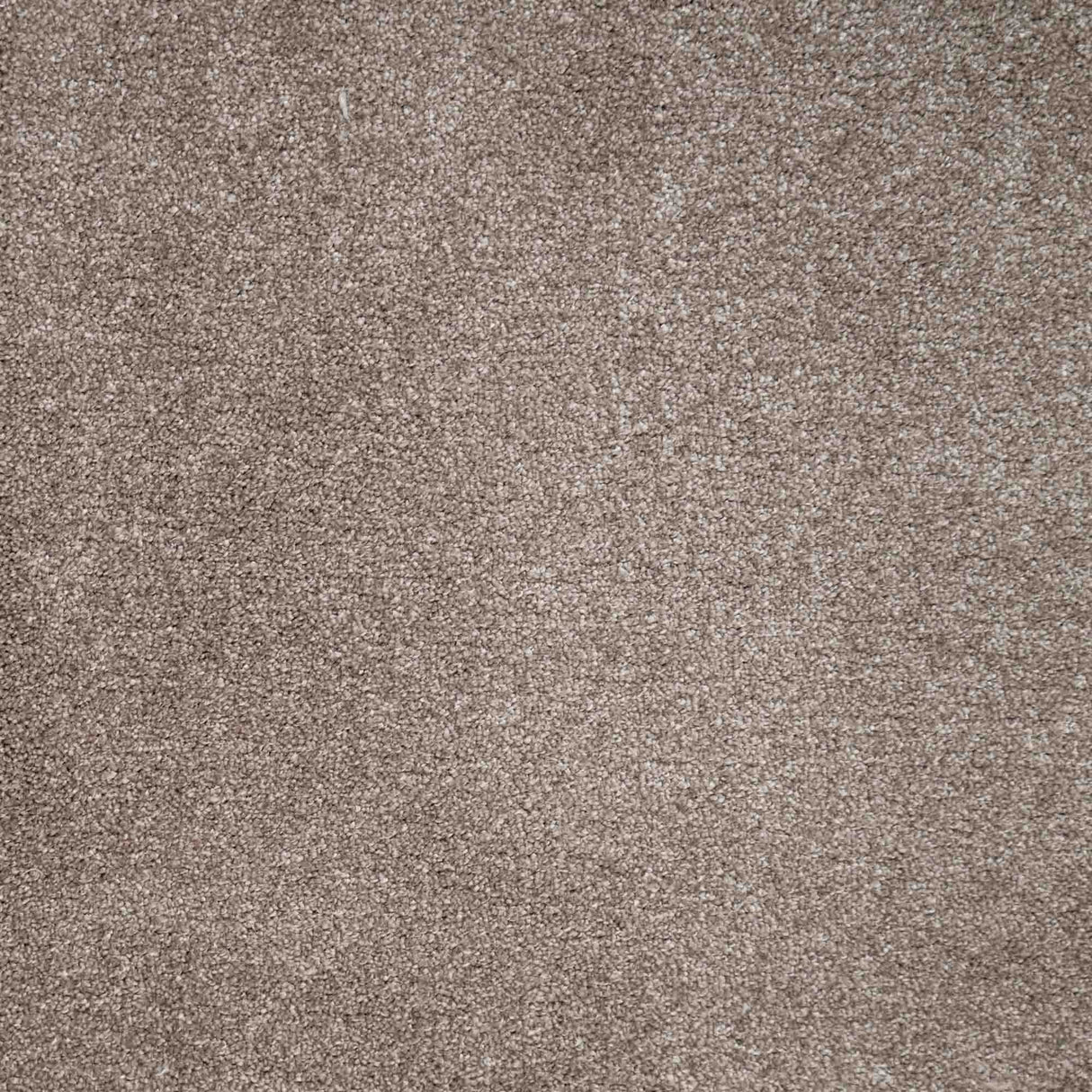 Spirito Carpet