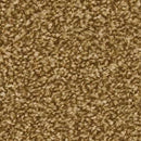 Apollo Plus carpet