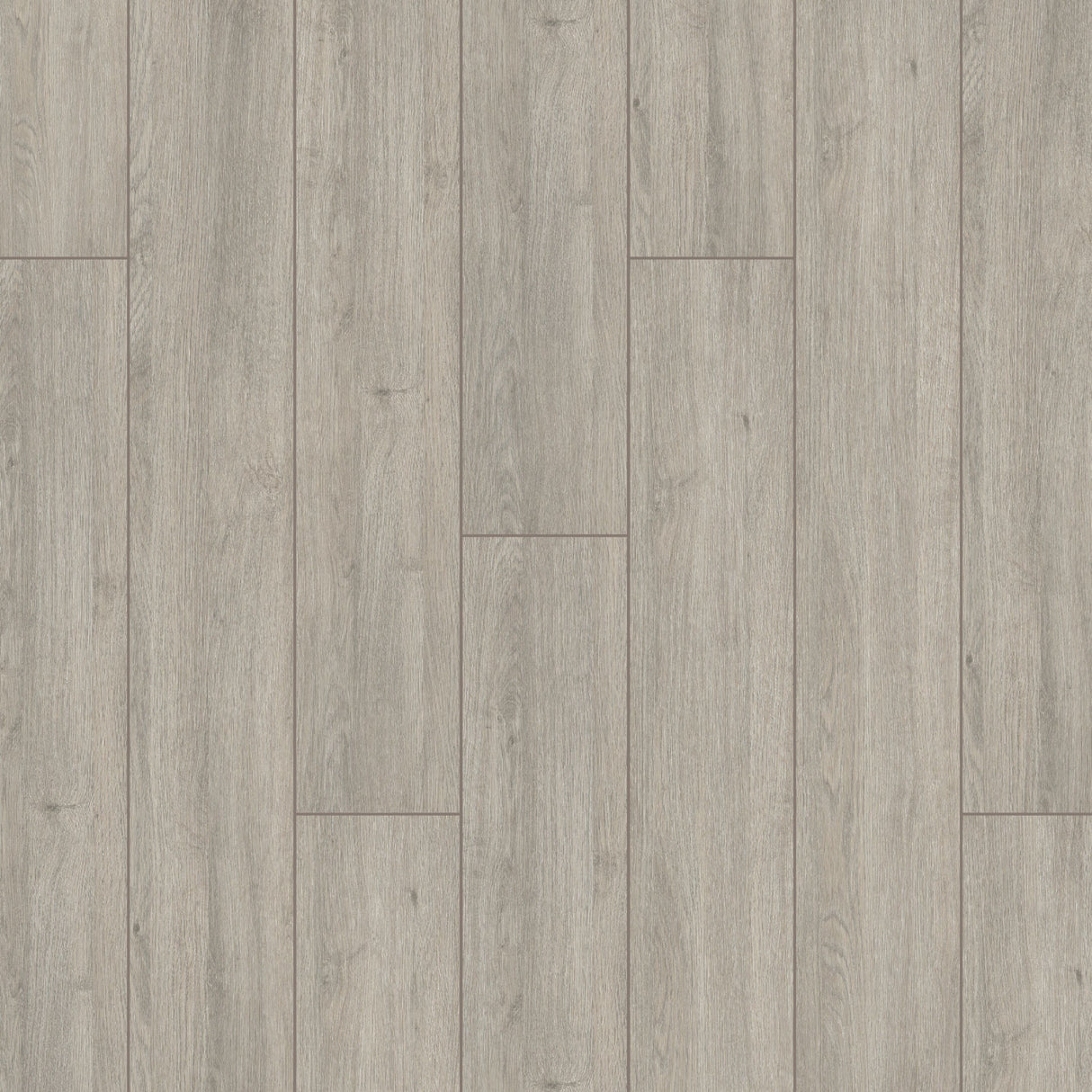 Furlong Elite XL Laminate