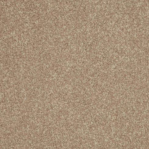 Inglewood Saxony carpet
