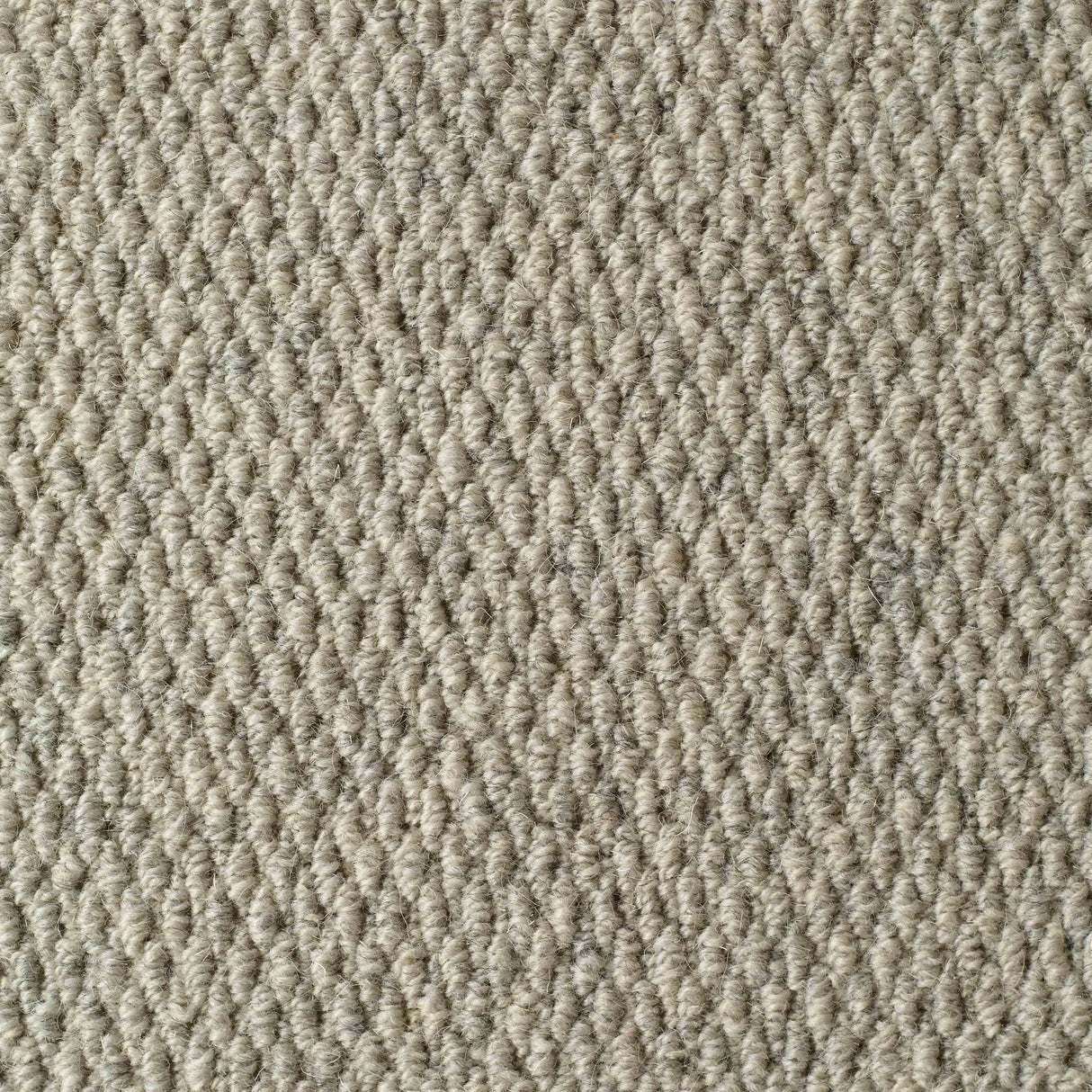 Littlebourne Carpet