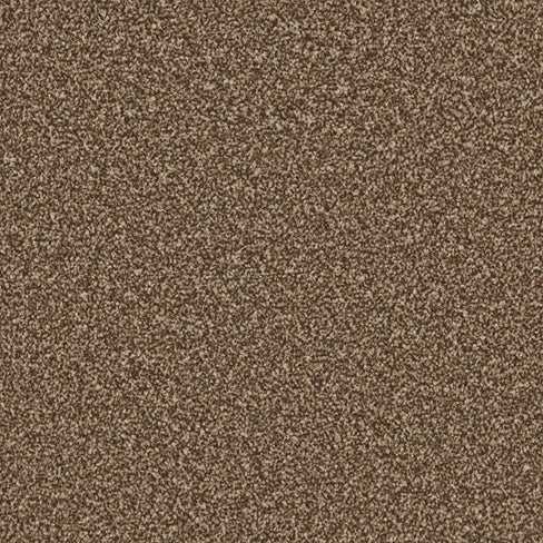 Apollo Plus carpet