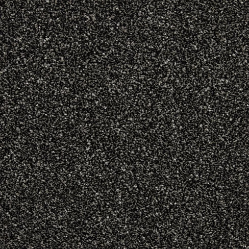 Inglewood Saxony carpet