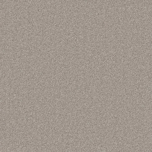 Primo Naturals carpet