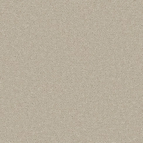 Apollo Plus carpet