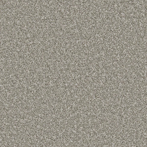 Apollo Plus carpet