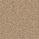 Primo Naturals carpet