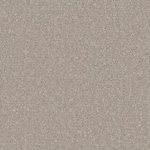 Apollo Plus carpet