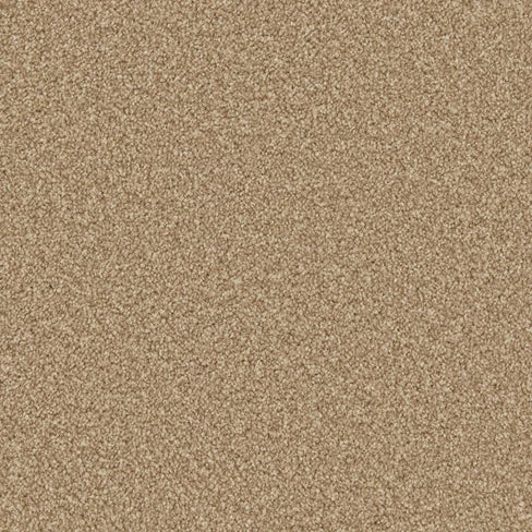 Apollo Plus carpet