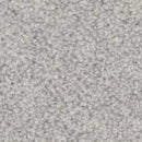 Inglewood Saxony carpet