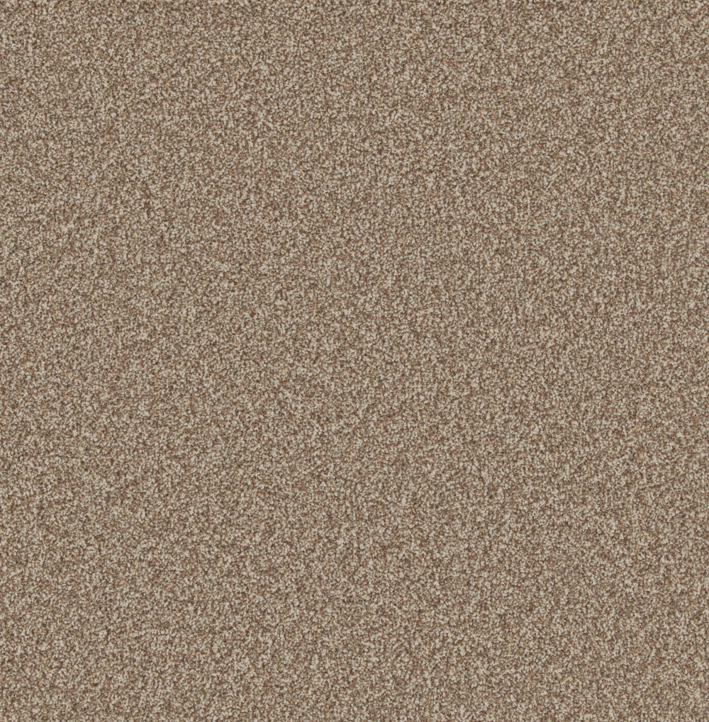 Woodland Forest Bark