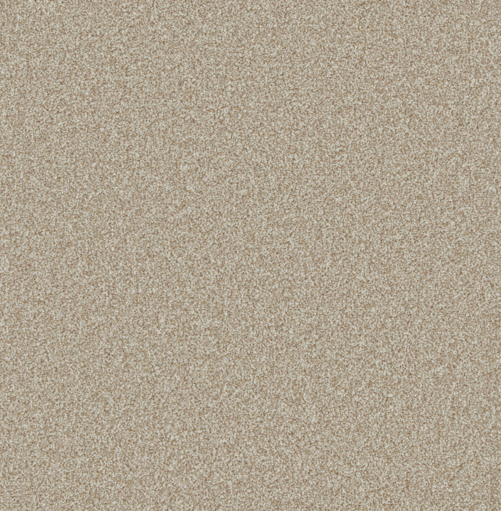 Acorn Dust