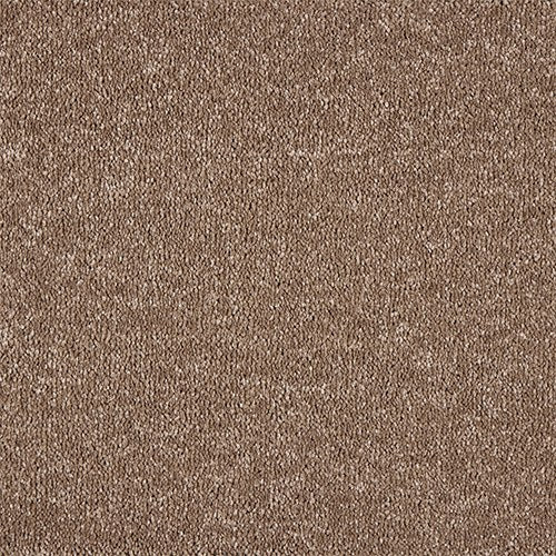 Abingdon Celestial Carpet - Cocoa Cream
