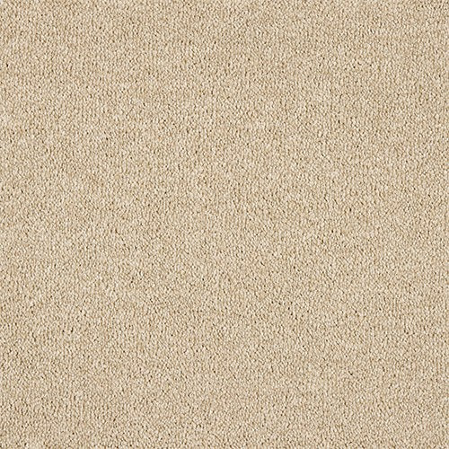 Abingdon Celestial Carpet - Cream Coffee