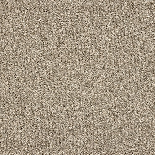 Abingdon Celestial Carpet - Soft Suede