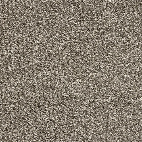 Abingdon Celestial Carpet - Velvet Earth