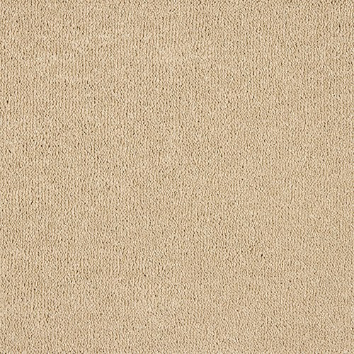 Abingdon Celestial Carpet - Whispering Sand
