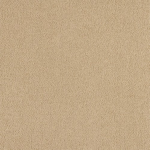 Abingdon Pure Velvet Carpet - Cashmere