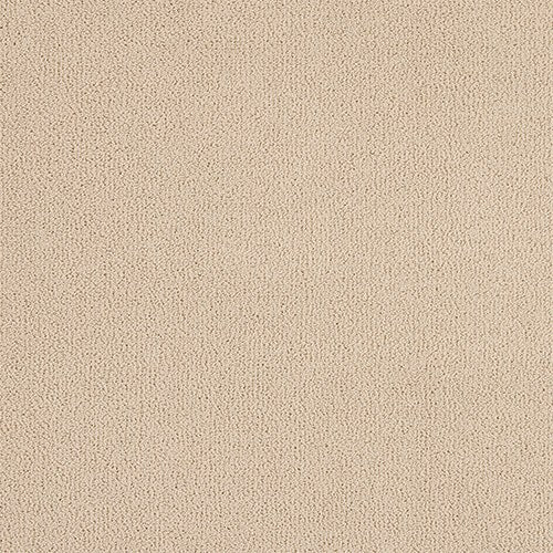 Abingdon Pure Velvet Carpet - Dawn Swim