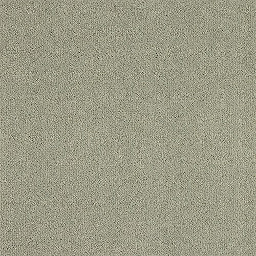 Abingdon Pure Velvet Carpet - Moles Breath