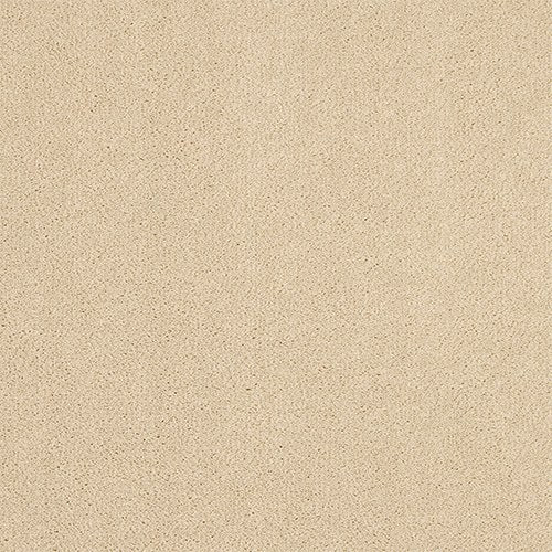 Abingdon Pure Velvet Carpet - Pearl