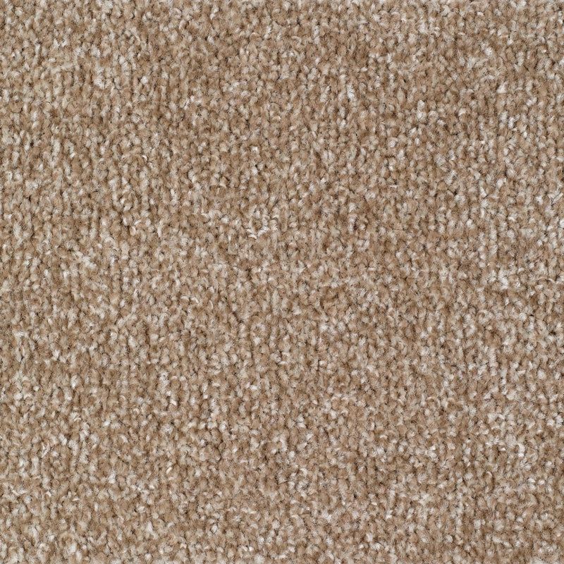 Carrick Cove Carpet