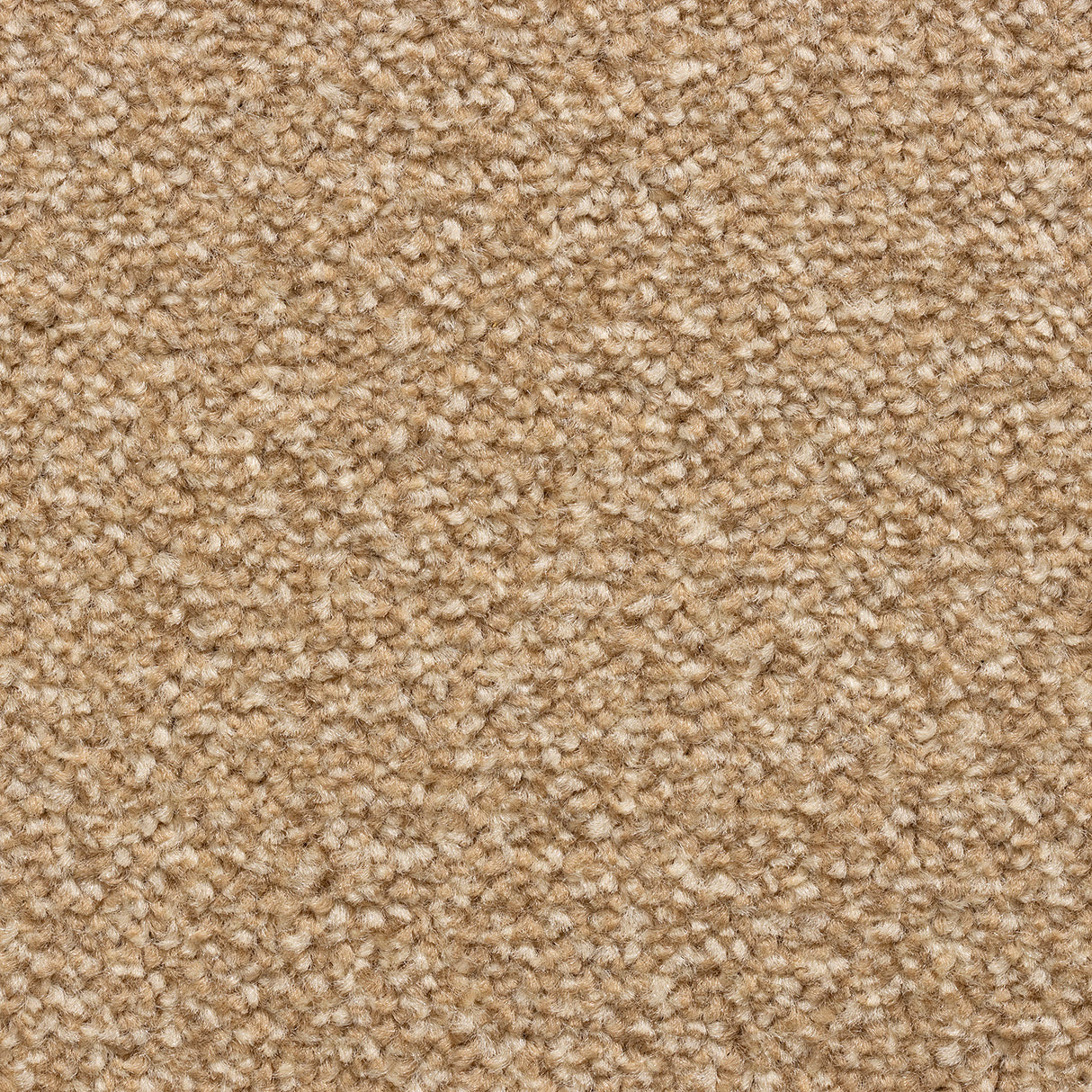 Cedar Falls Carpet