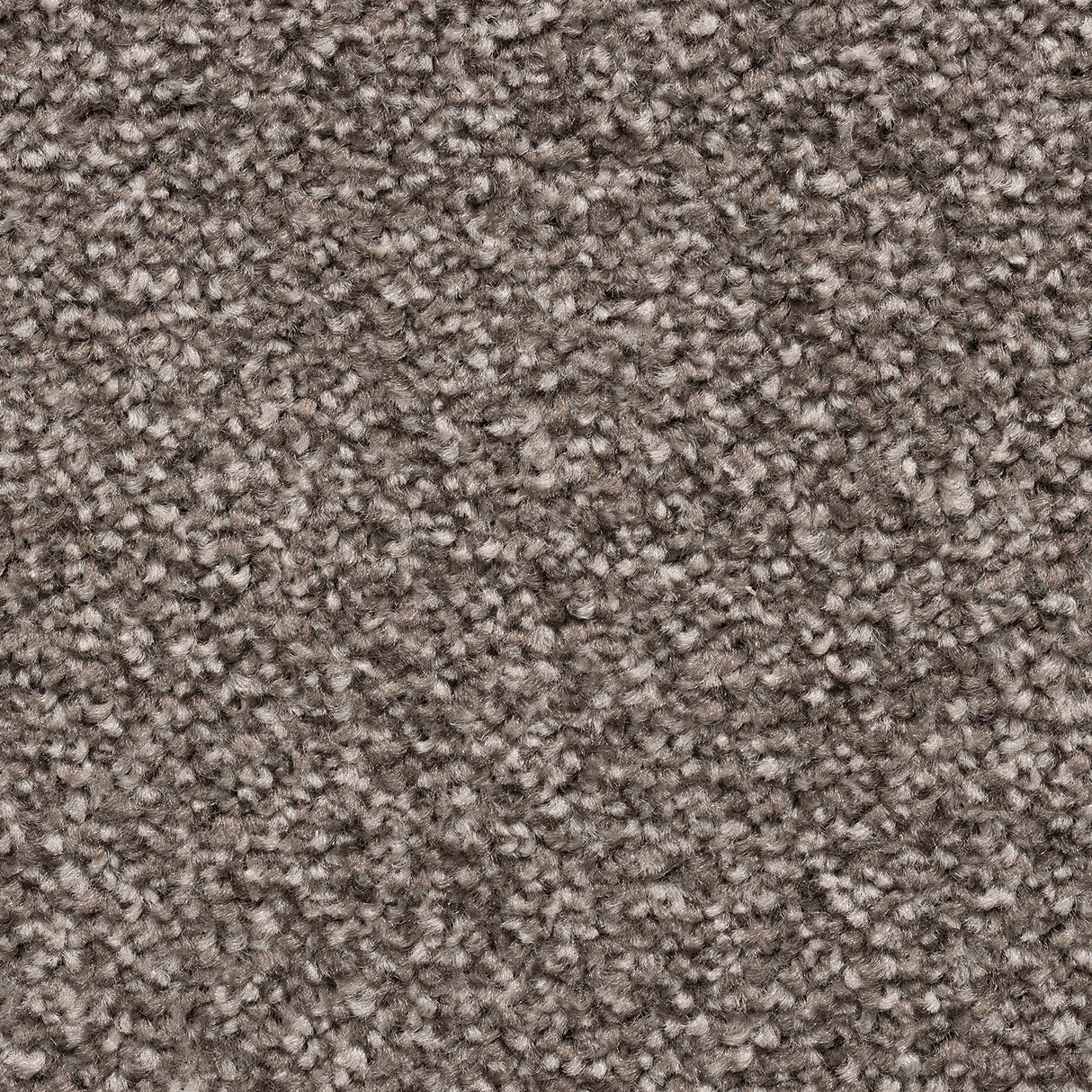 Cedar Falls Carpet