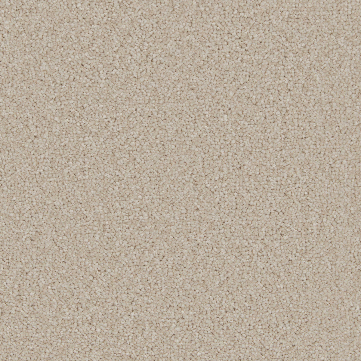 Cormar Aurora carpet - Champagne