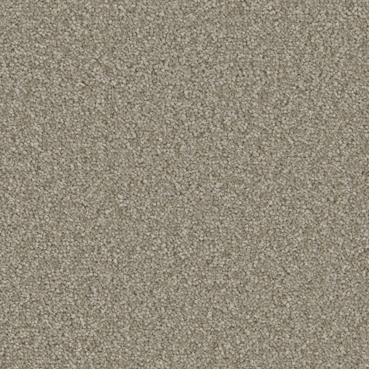 Cormar Aurora carpet - Thyme