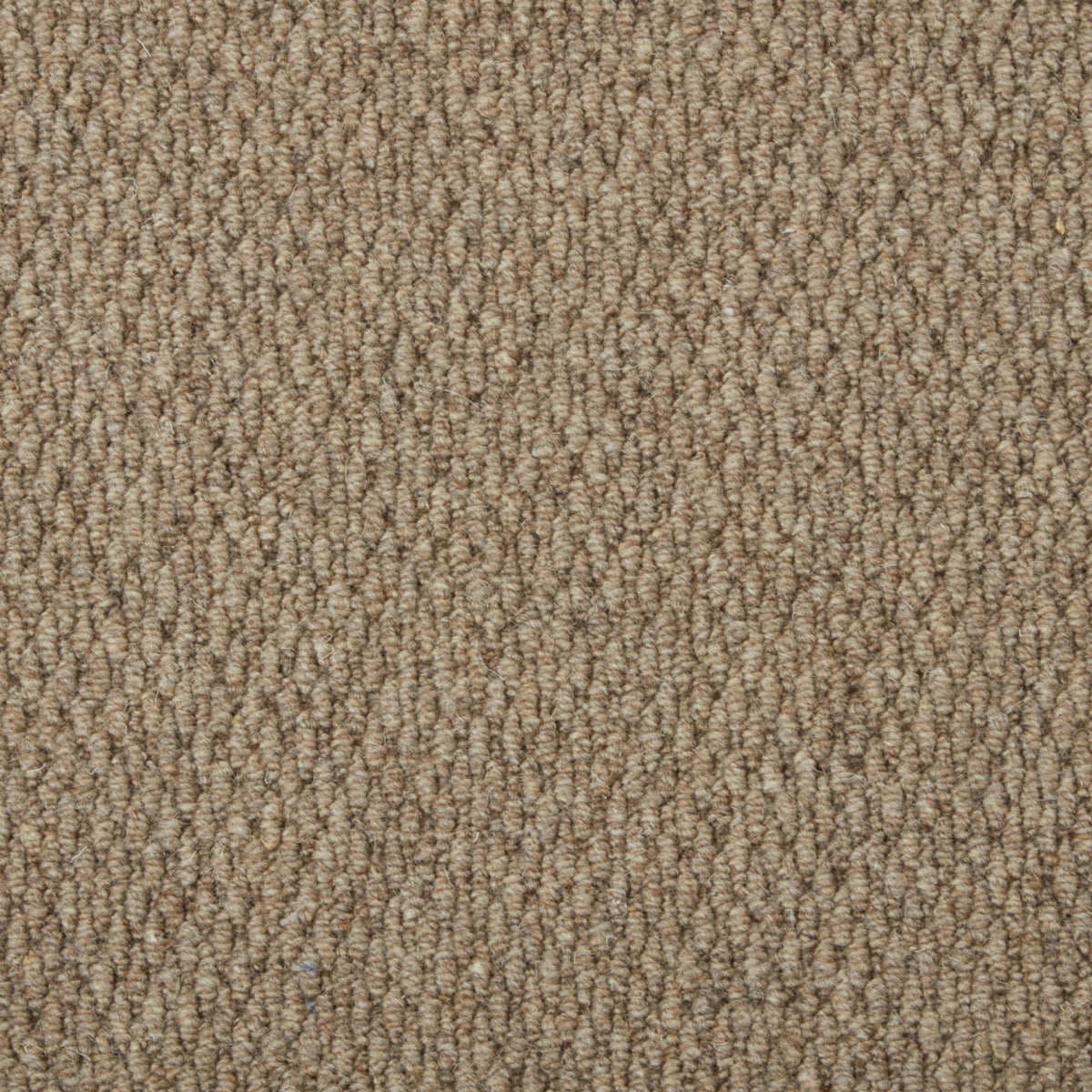 Cormar Malabar Two Fold carpet - Timber